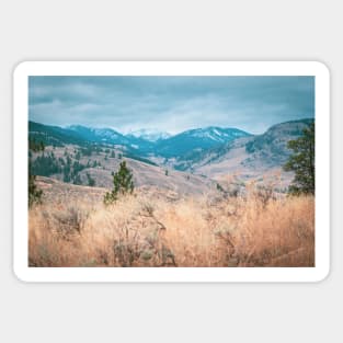 Snowcapped Mountain View from Desert Grasslands Sticker